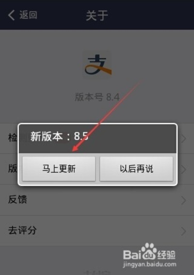支付宝版本号,数据解答解释定义 6DM1_v8.164