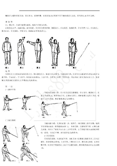 90版本 棍法,现状分析说明_移动版1_v6.793