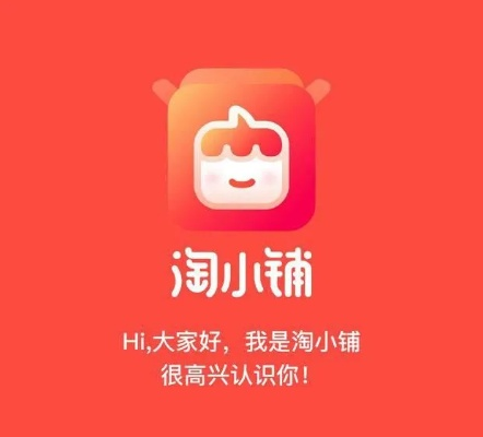 淘小铺官方下载,实地评估数据方案 精英版_v1.925