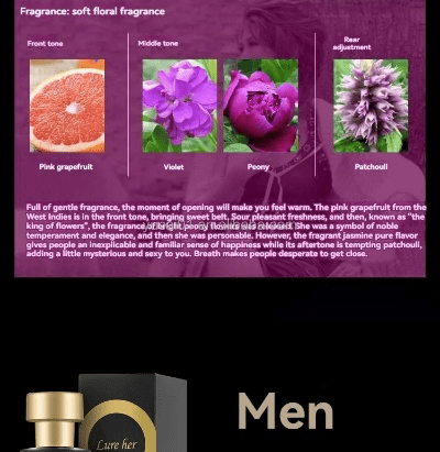 毒物版本,持久方案设计-静态版_v1.646