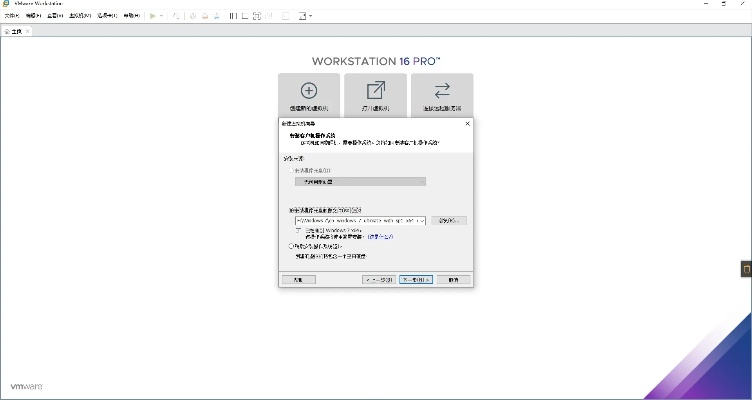微软官方虚拟机下载,调整方案执行细节_DP_v8.258