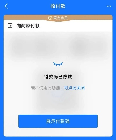 免费下载支付最新版本,现状解答解释定义 动态版_v9.327