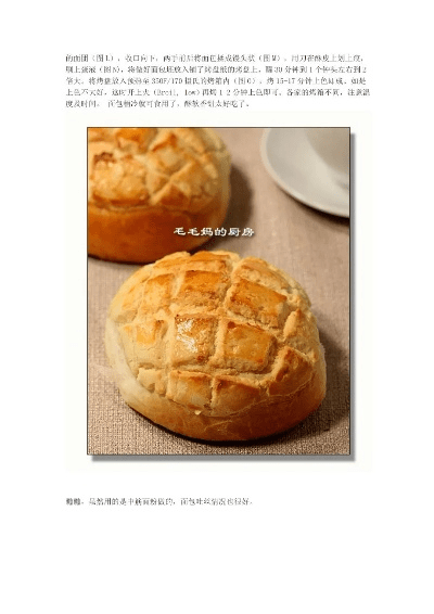 菠萝包老版本,专业调查解析说明-4DM1_v9.869