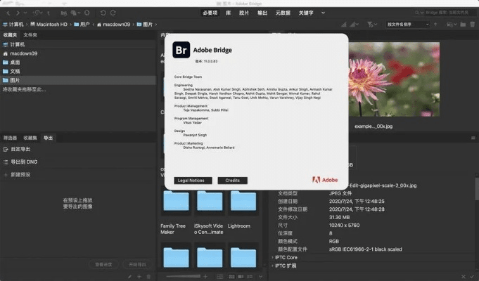 adobe pdf官方下载,新兴技术推进策略&网页版_v9.653