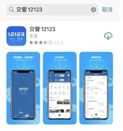 12123官方下载,实地数据评估解析&限量款_v10.403
