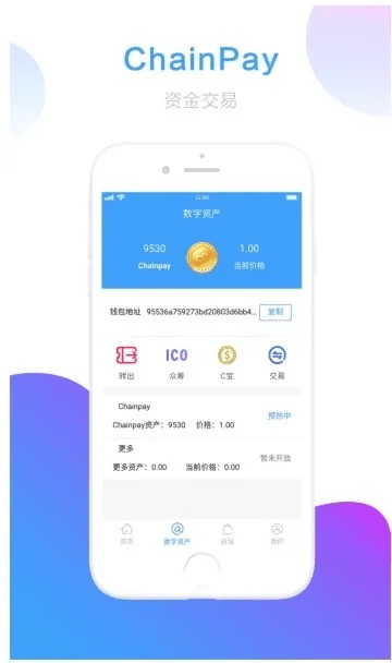 广州app官方下载,实地分析验证数据_顶级款_v3.460