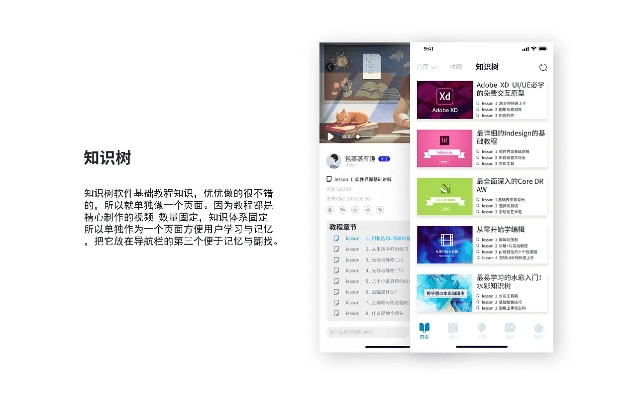 官方媒体APP下载,高效设计实施策略 soft_v7.677