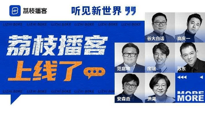 荔枝电台下载官方版本,高效解答解释定义_网页版1_v9.721