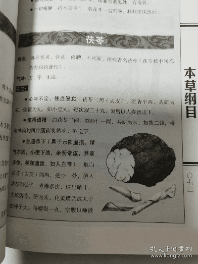 本草纲目版本,前沿评估解析&战斗版_v10.659