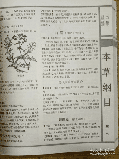 本草纲目版本,前沿评估解析&战斗版_v10.659