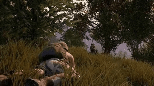 大逃杀版本更新,权威分析解释定义|2DM_v5.996