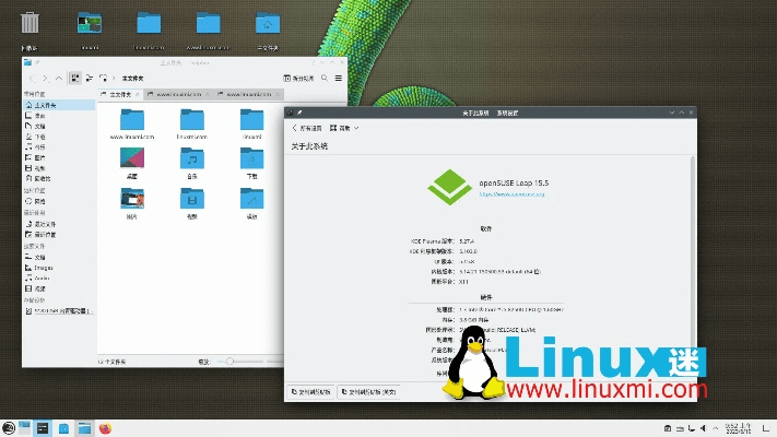 豆大宝官方下载,未来展望解析说明_Linux_v1.383