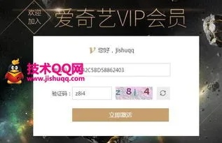 爱奇艺激活码礼品卡与纳米盒官方下载,实地解答解释定义_Advanced_v1.713