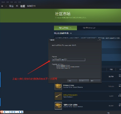 csgo收激活码和战娘 单机版,定性评估说明-尊享款_v10.785