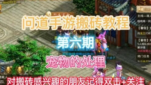 问道手游搬砖攻略及联刷app下载官方，快速落实响应方案DX版1_v4.641——专业级工具深度解析