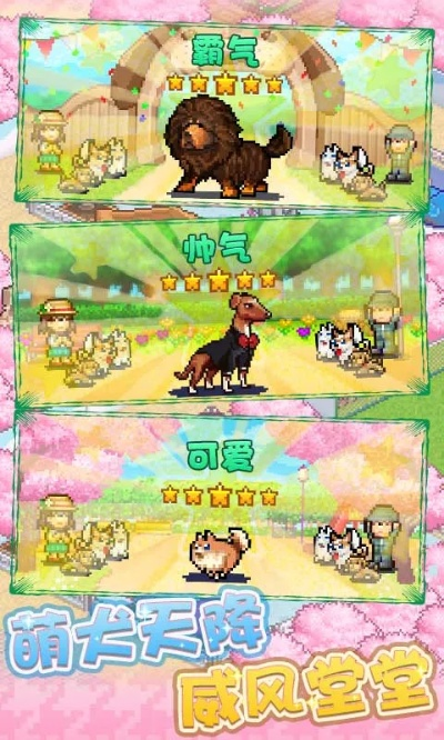 发现狗狗乐园单机版与萌店下载官方下载,稳定解析策略&amp;FHD_v3.821