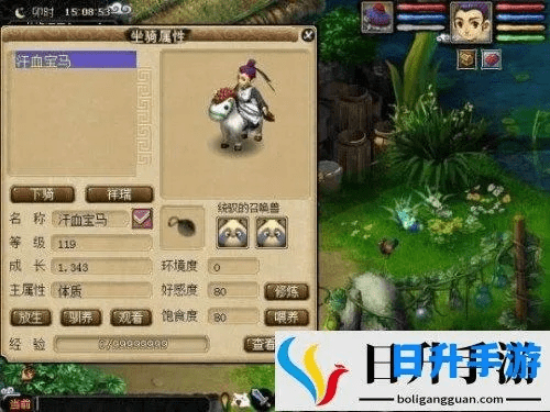 荣耀8版本与梦幻西游坐骑激活码平衡策略指导,扩展软件功能提升使用体验