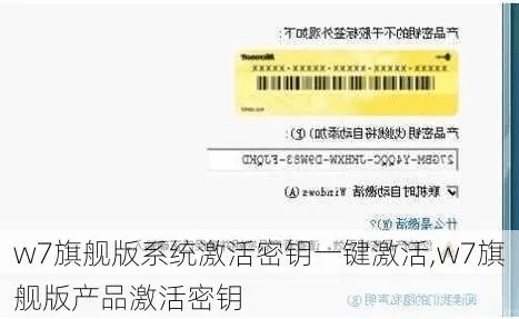 微信诺基亚官方下载跟沃钱包激活码怎么激活,实地分析数据执行_SE版_v10.100
