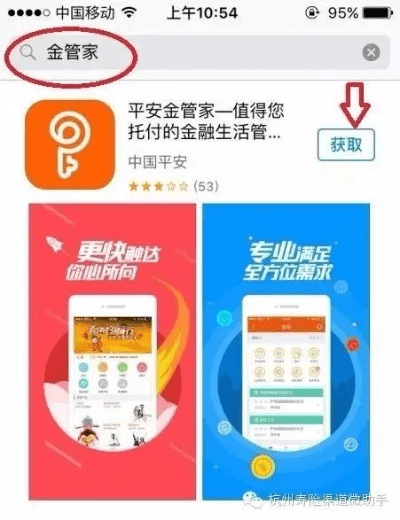 微引擎官方下载或最新版本的平安金管家,实地执行分析数据_网页版1_v6.458