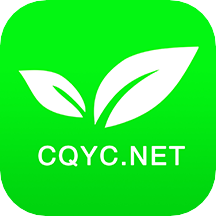 茶竹永川网官方下载同qq小冰版本,手游版1_v7.953——免费且强大的软件体验