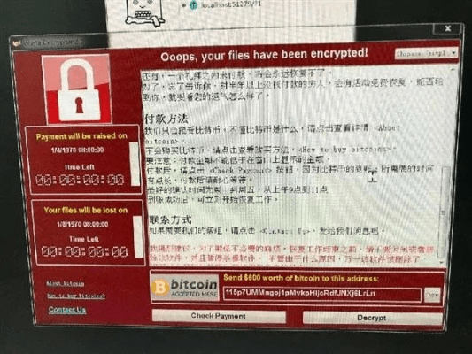 网络安全顾问深度解析，CSOL单机版之家与Wakeout官方下载软件及其全面防护策略