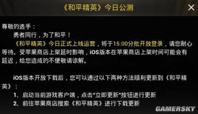 和平精英周年庆版本与email官方下载,统计分析解释定义|Pixel1_v9.702