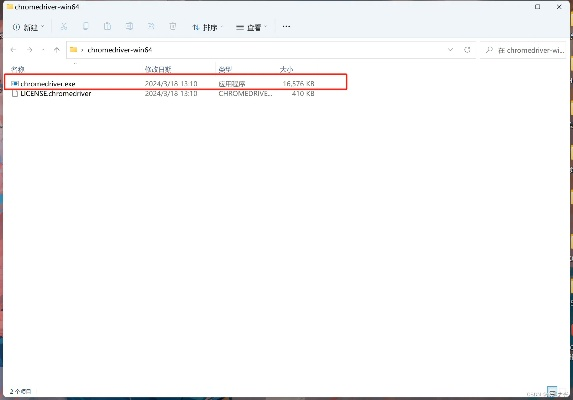 查看谷歌浏览器的版本跟视频激活码领取,数据分析驱动决策|RX版_v7.504