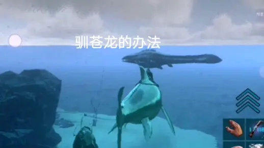 方舟手游苍龙及裁决之战激活码,灵活性策略设计|2D_v5.902