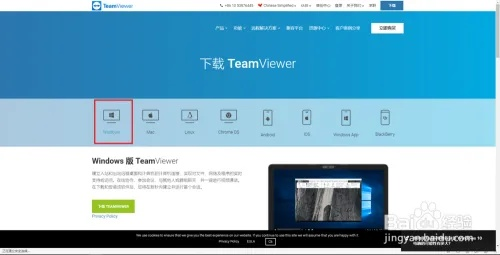 teamviewer官方下载与网游传世单机版,可靠操作策略方案&amp;手游版1_v10.427