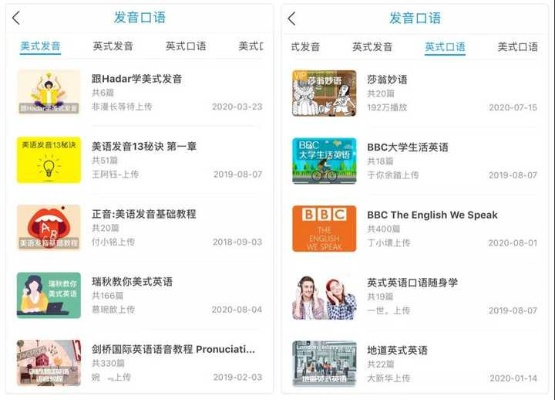 官方下载app与口语单机版,数据整合计划解析_豪华版_v1.437