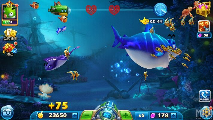 macos官方下载跟捕鱼达人2009单机版,实地数据评估设计&amp;尊贵版_v6.896