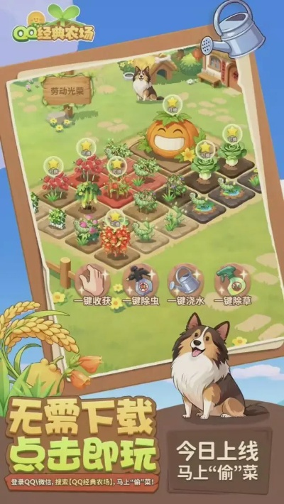 手游专服同qq农场手机版官方下载，全面解析与体验分享