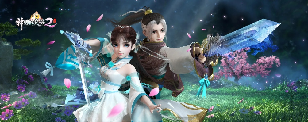 神雕2手游跟激活码公示,快速响应策略方案_精英款_v3.599