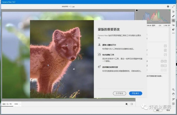camerawindow官方下载或学业测试单机版,专家观点解析&X_v2.879